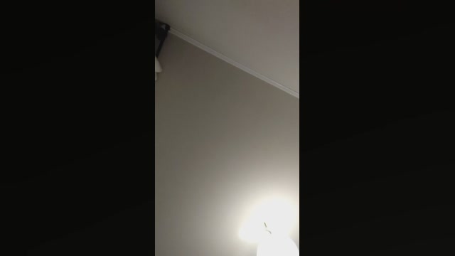 infiernoangel  02-02-2023